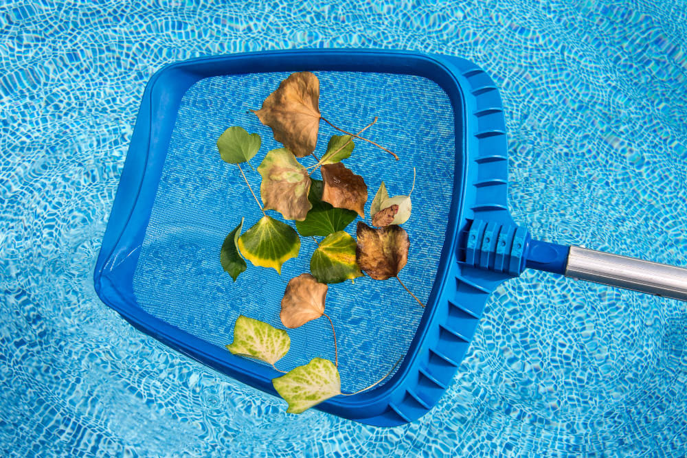 Pool technician skimming debris from a residential pool in Miami.